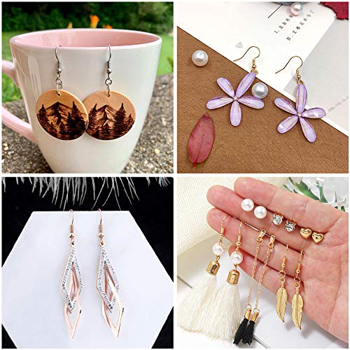 anezus Earrings Hooks for Jewelry Making, 2000Pcs Earring Making Supplies Kit with Fish Hook Earrings, Earring Cards, Jewelry Plier, Earring Backs and Jump Ring for Jewelry Making and Earring Repair