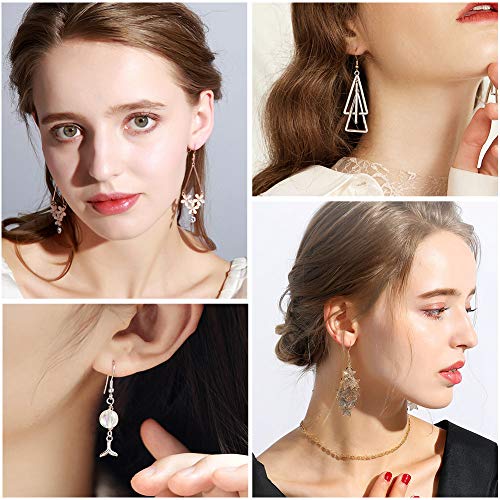 anezus Earrings Hooks for Jewelry Making, 2000Pcs Earring Making Supplies Kit with Fish Hook Earrings, Earring Cards, Jewelry Plier, Earring Backs and Jump Ring for Jewelry Making and Earring Repair