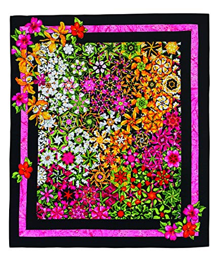 One-Block Wonders of the World: New Ideas, Design Advice, A Stunning Collection of Quilts