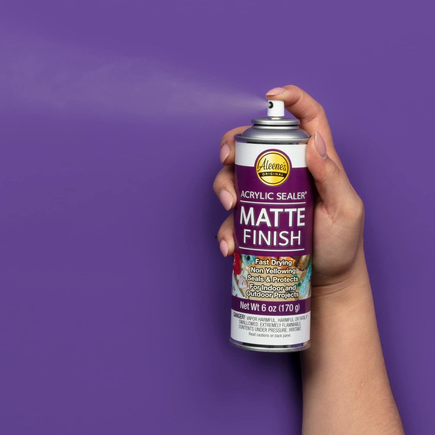 Aleene's Spray Finish 6oz Acrylic Sealer, 6 Ounce (Pack of 1), Clear-Matte