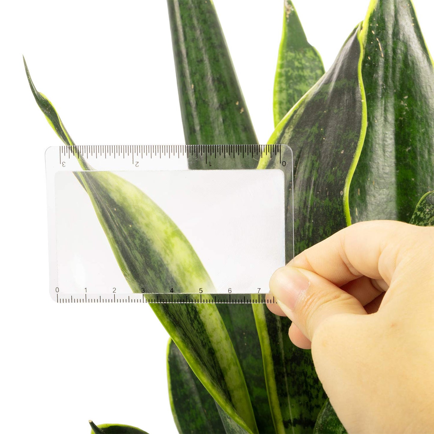 20 Pieces Fresnel Lens Credit Card Magnifier Pocket Plastic Ruler Starting Solar Fire Emergency Bushcraft Survival Compact Outdoor Leisure Classroom