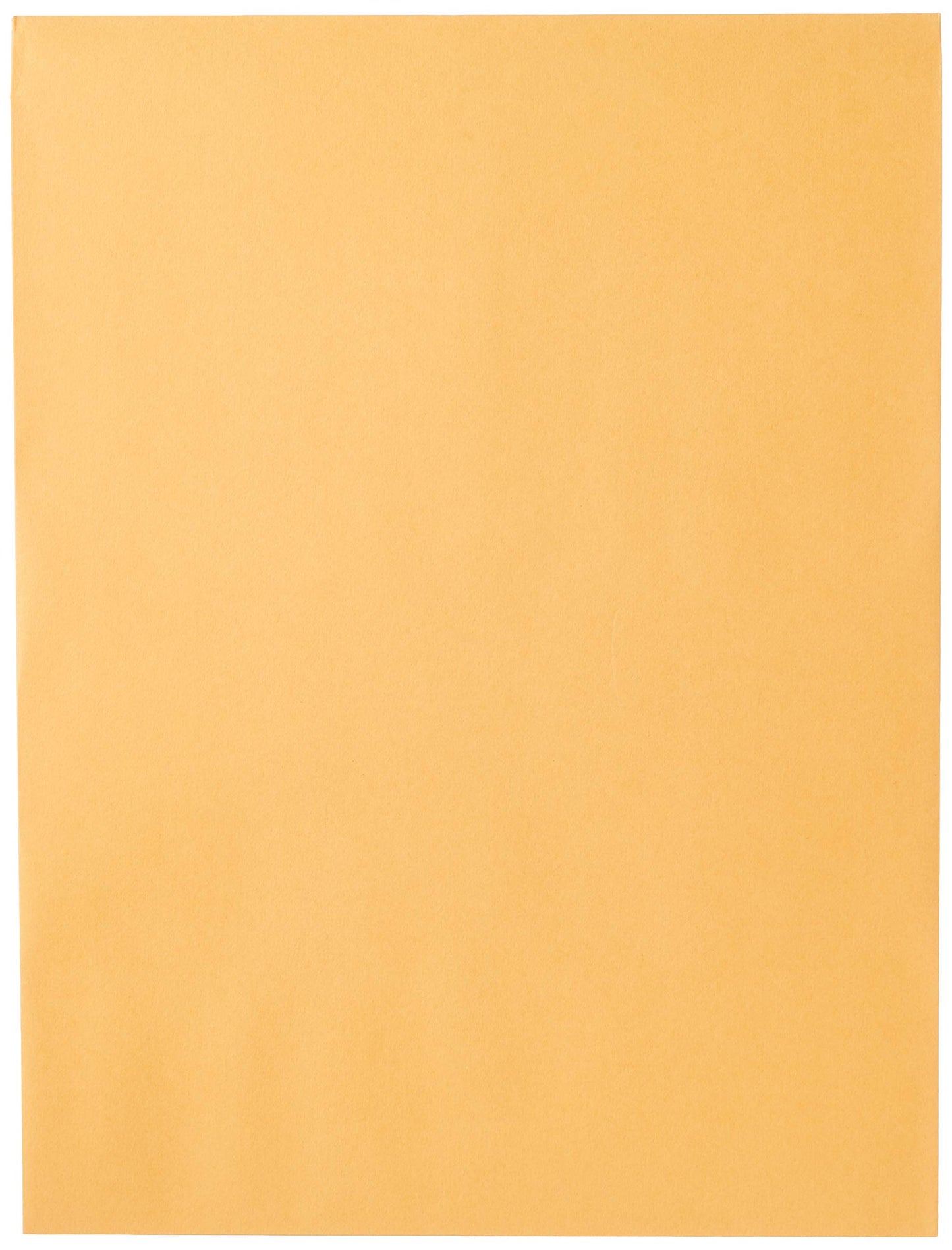 Mead Letter Size Mailing Envelopes, Clasp Closure, All-Purpose 32-lb Paper, 9" X 12", Brown Manila Kraft Envelope, 100 per Pack (CO790)