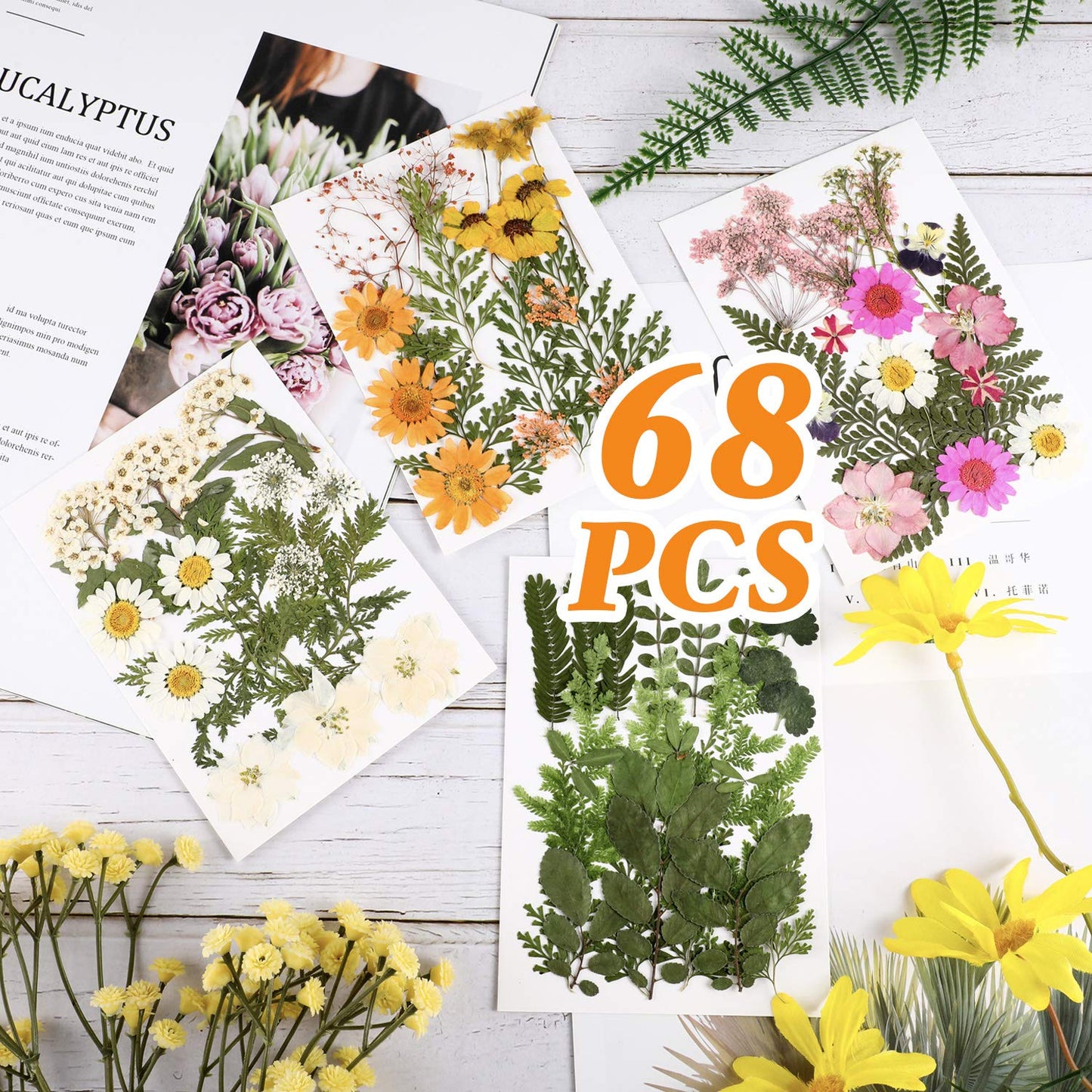 Nuanchu Pressed Flowers Bulk Dried Flower for Crafts, Dried Flower Leave Natural with Tweezer for Resin Mold Scrapbooking DIY (Fresh Style)