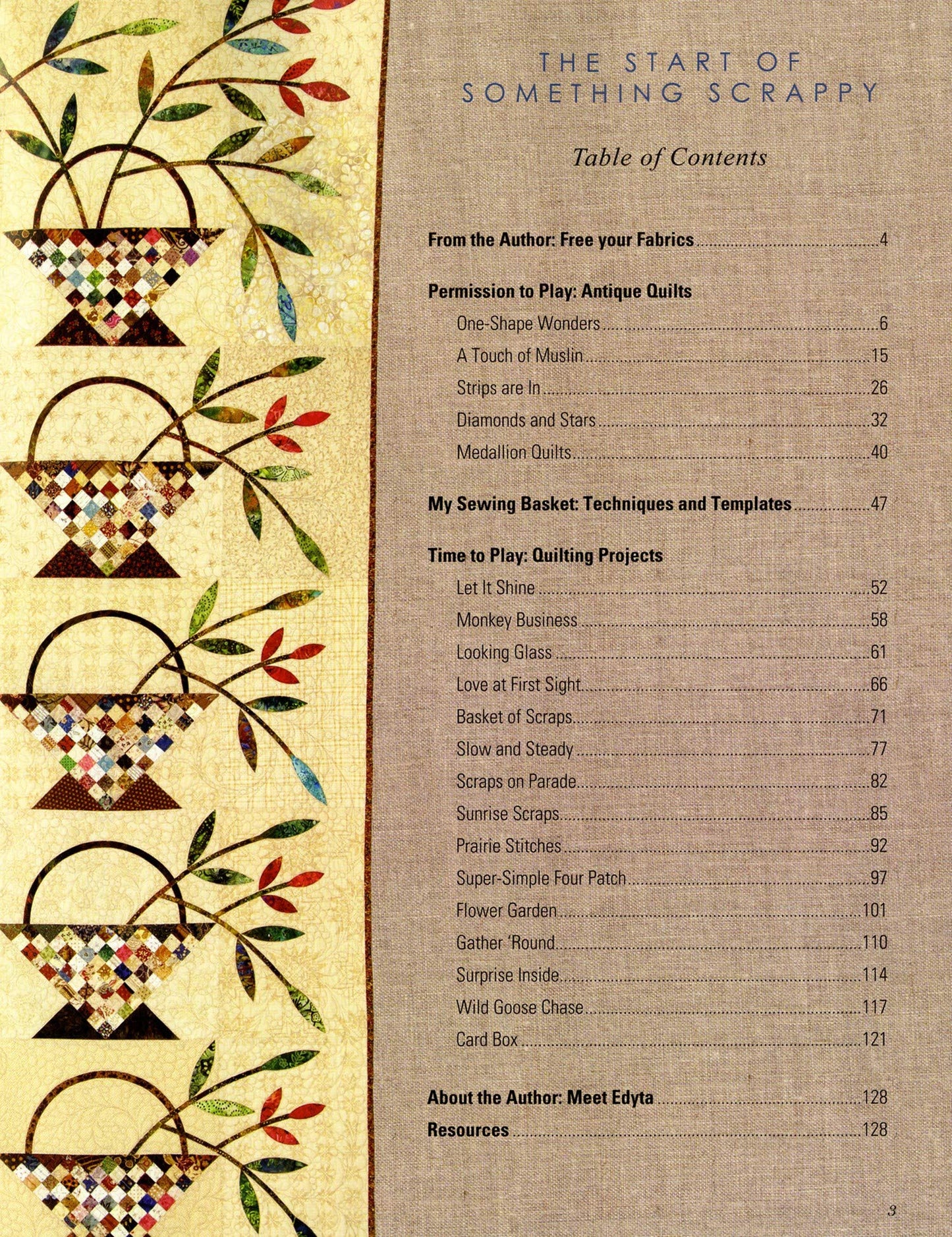 Handfuls of Scraps - Pieced into Amazing Quilts