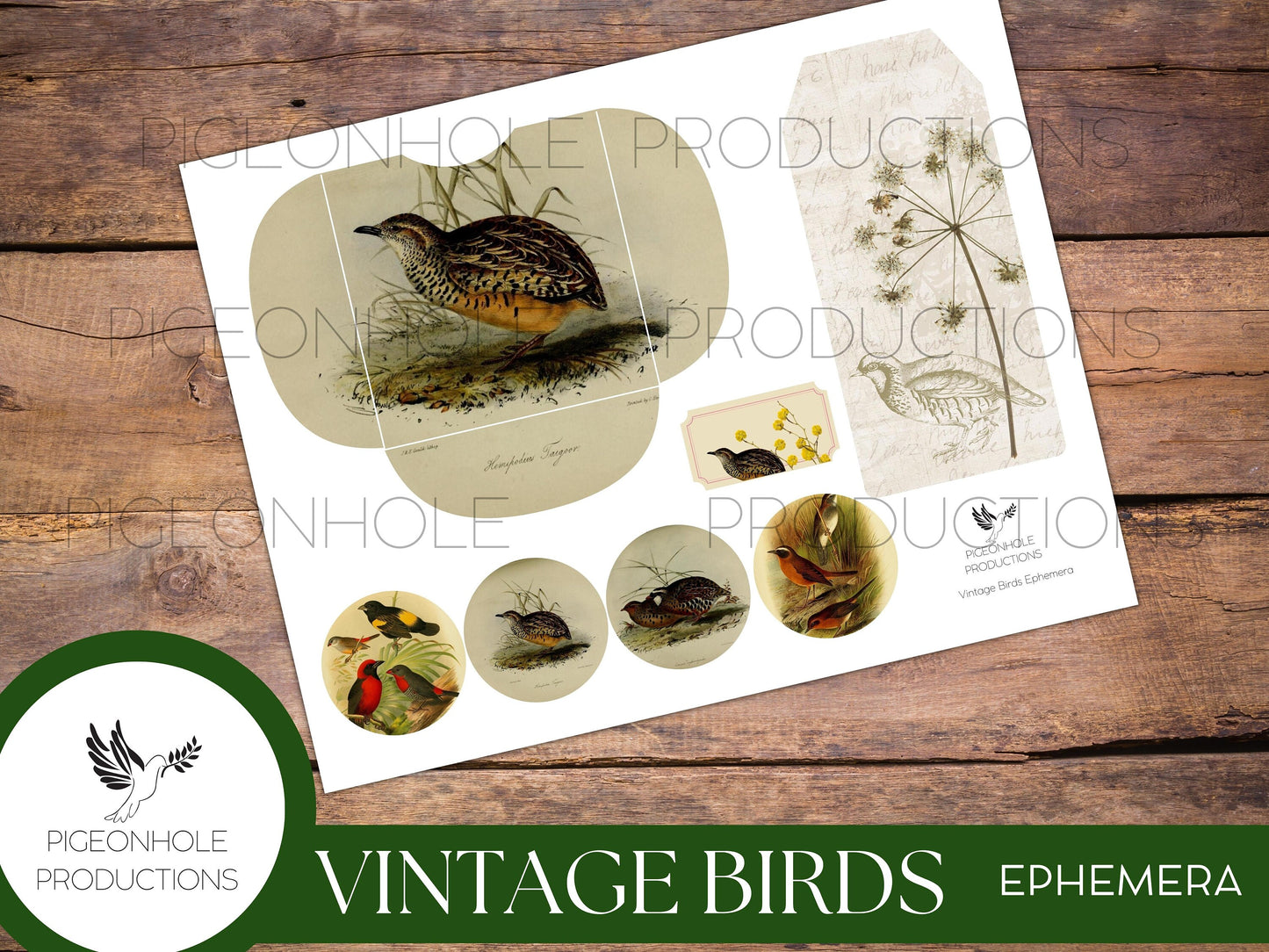 Vintage Birds EPHEMERA, printable, for junk journals, scrapbooking, papercrafts, cardmaking, tags, ephemera