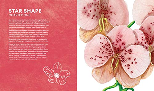 Everyday Watercolor Flowers: A Modern Guide to Painting Blooms, Leaves, and Stems Step by Step