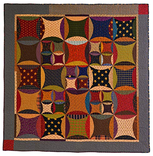 The Kansas City Star Quilts Sampler: 60+ Blocks from 1928-1961, Historical Profiles by Barbara Brackman