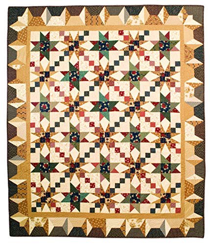 The Kansas City Star Quilts Sampler: 60+ Blocks from 1928-1961, Historical Profiles by Barbara Brackman