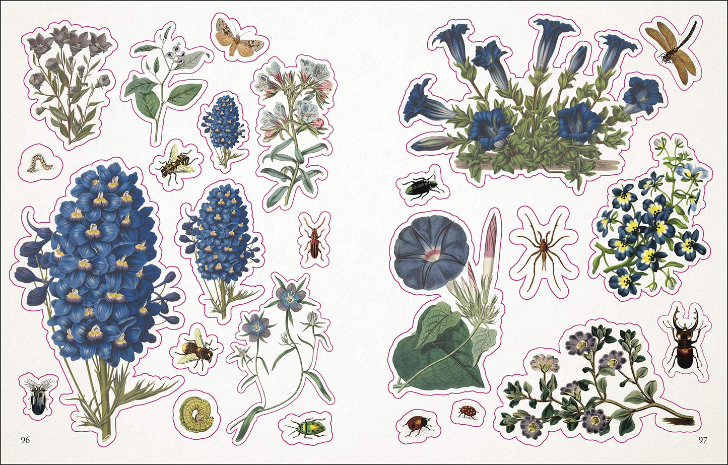 The Botanist's Sticker Anthology (DK Sticker Anthology)