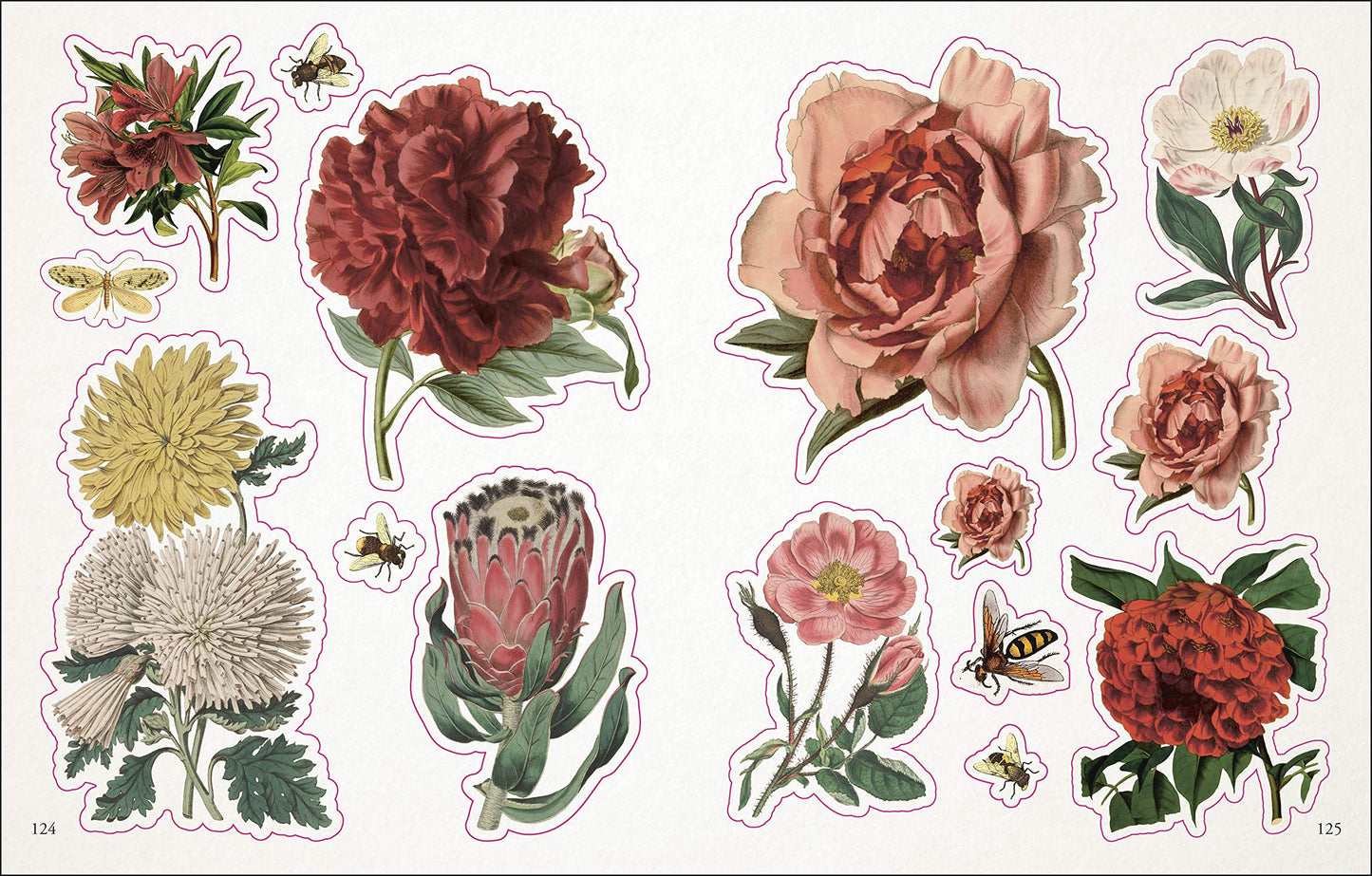 The Botanist's Sticker Anthology (DK Sticker Anthology)