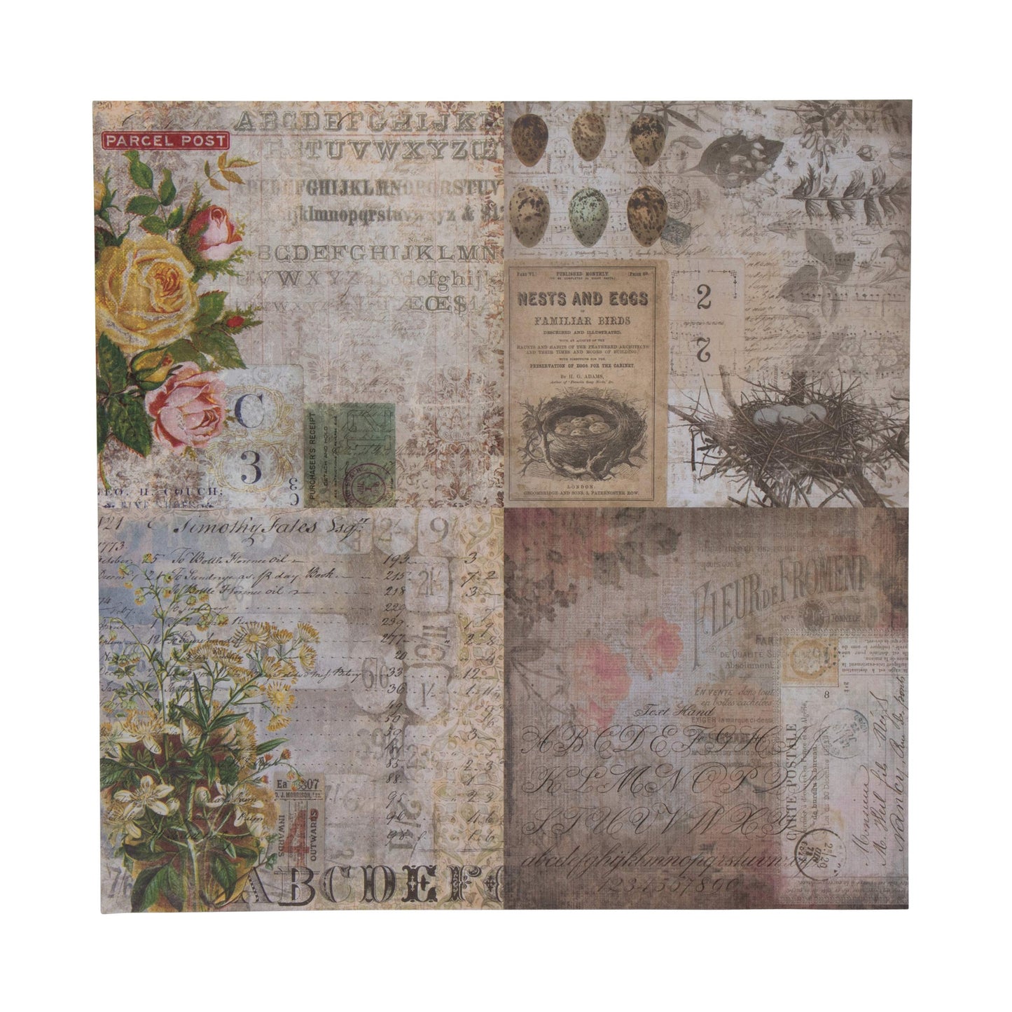 Wallflower Paper Stash by Tim Holtz Idea-ology, 36 Sheets, Double-Sided Cardstock, Various Sizes, Multicolored, TH93110