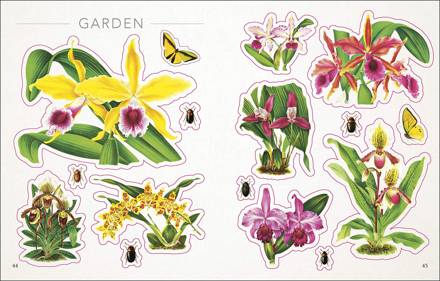 The Botanist's Sticker Anthology (DK Sticker Anthology)