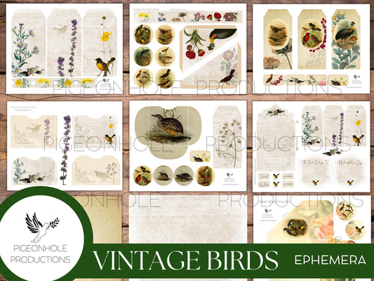 Vintage Birds EPHEMERA, printable, for junk journals, scrapbooking, papercrafts, cardmaking, tags, ephemera