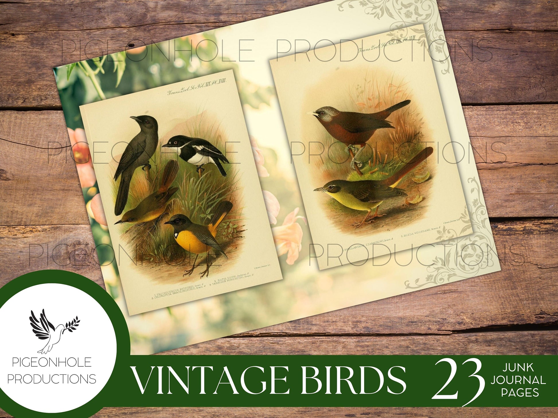 Vintage Birds Junk Journal Pages Kit, PRINTABLE, 23 pages, features old bird illustrations, make your own journal, pretty!