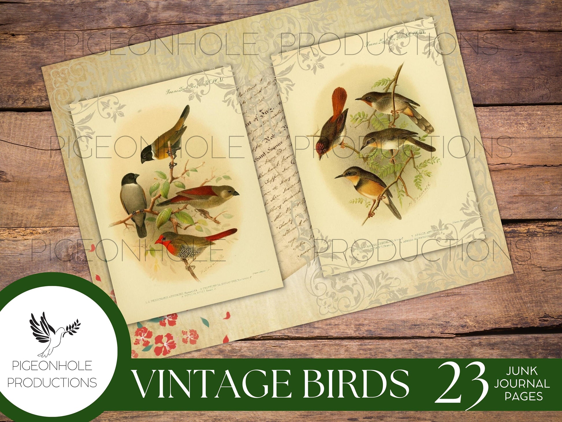 Vintage Birds Junk Journal Pages Kit, PRINTABLE, 23 pages, features old bird illustrations, make your own journal, pretty!