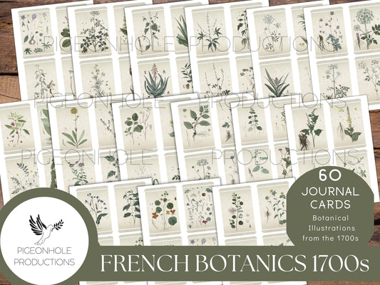 60 French Botanical Journal Cards, 1700s, PRINTABLE, lovely vintage illustrations, use for junk journal cards, tags, pockets, other ephemera