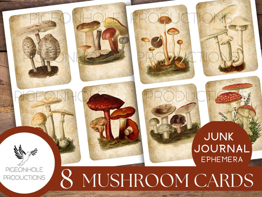 Vintage Mushroom Illustrations - 1850s, PRINTABLE, use as journal cards, junk journal tags, ATC cards, or fussy cut