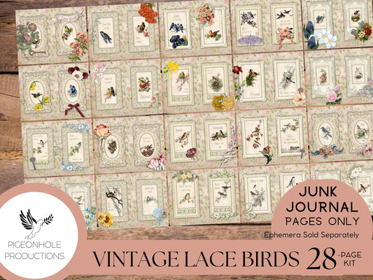 Vintage Lace Birds Junk Journal Kit—Pages Only—PRINTABLE—tribute to the beautiful bird illustrations of Catharina Klein, 1800s-1900s